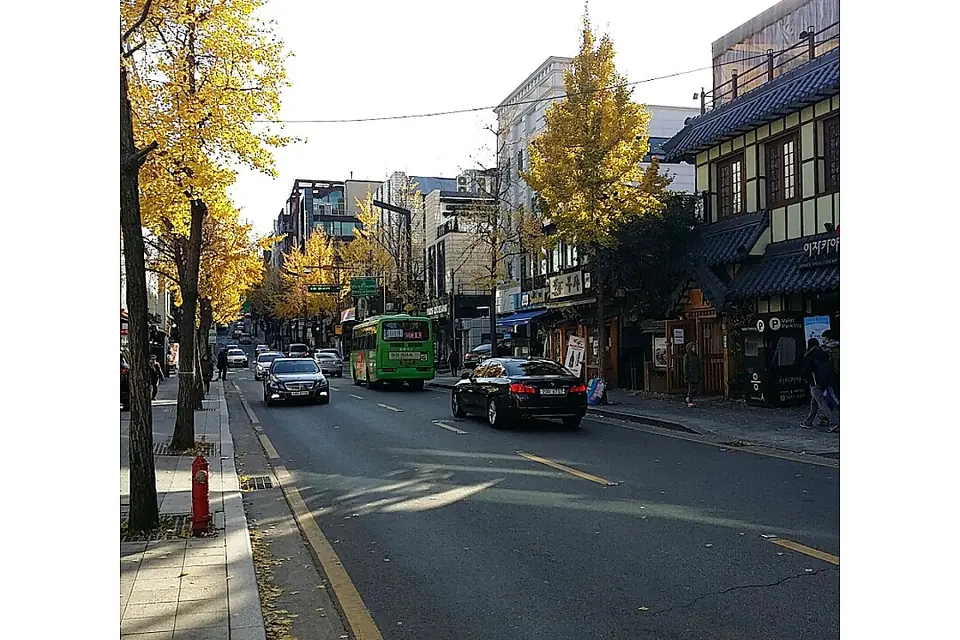 瑞草区で見るSeorae Village sceneの実写