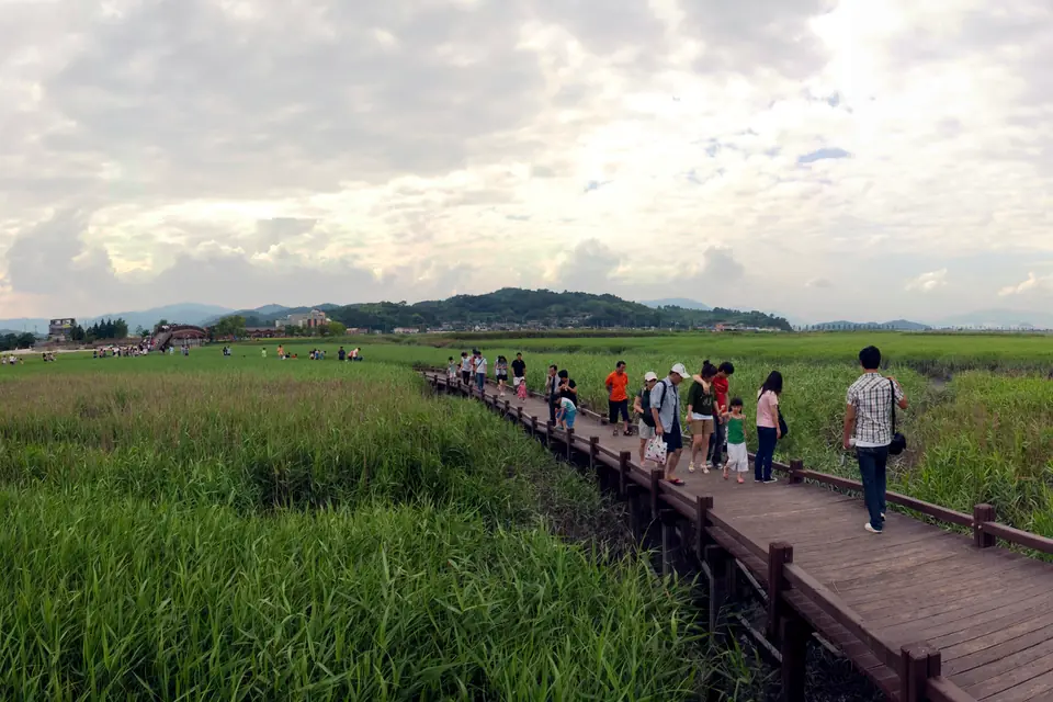 順天市で見るPanorama of Reed fields in Suncheon bayの実写