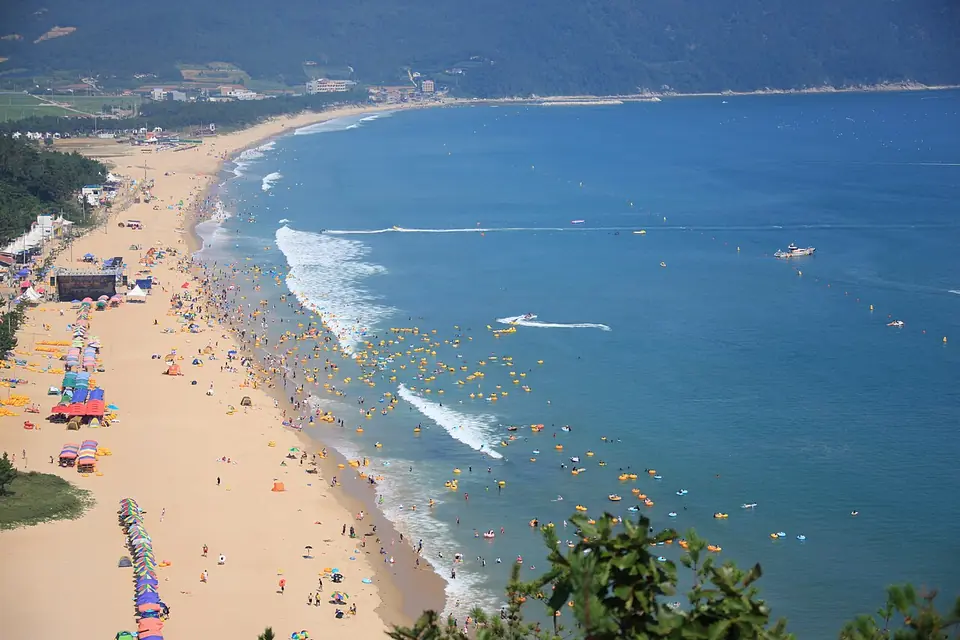 莞島郡で見るSinji beachの実写