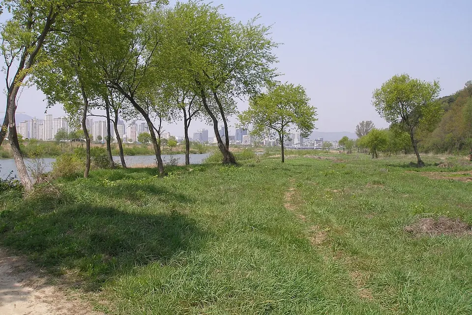 儒城区で見るYuseong at Wolpyeong parkの実写