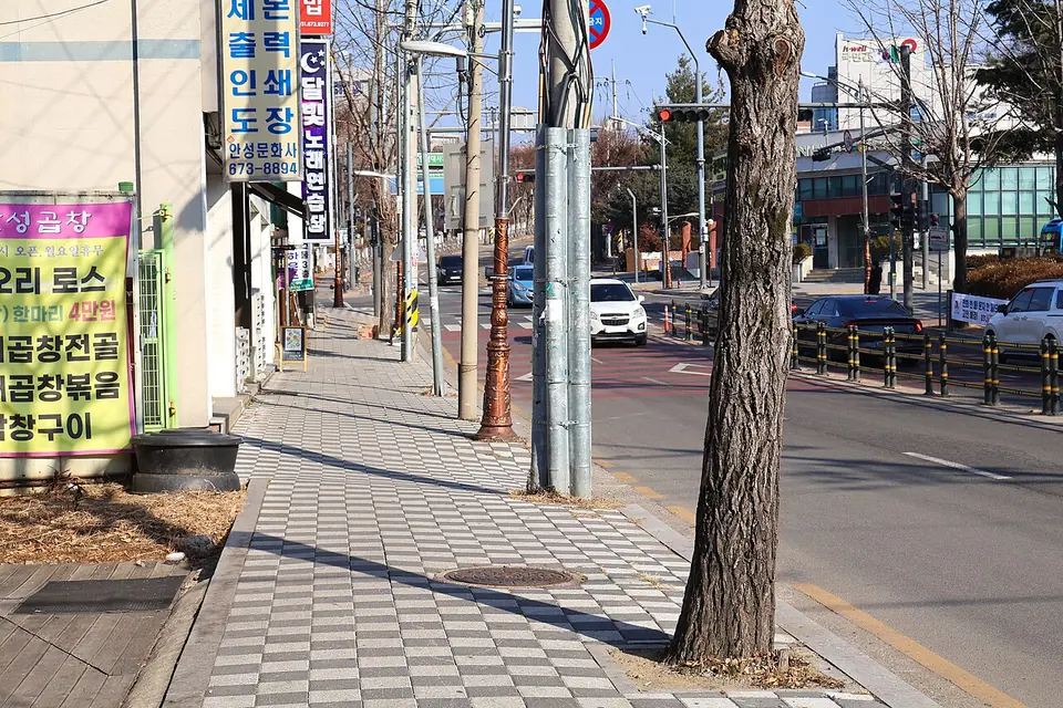 安城市 (京畿道)で見るSeonjeong-dong, Anseong City, Gyeonggi-do 20250101 (01)の実写