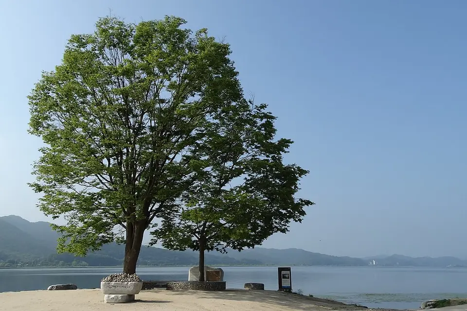 楊平郡で見る두물머리の実写