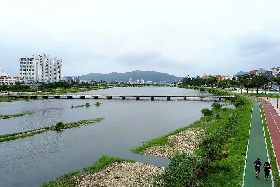 永川市で見るGeumhoriverYCの実写