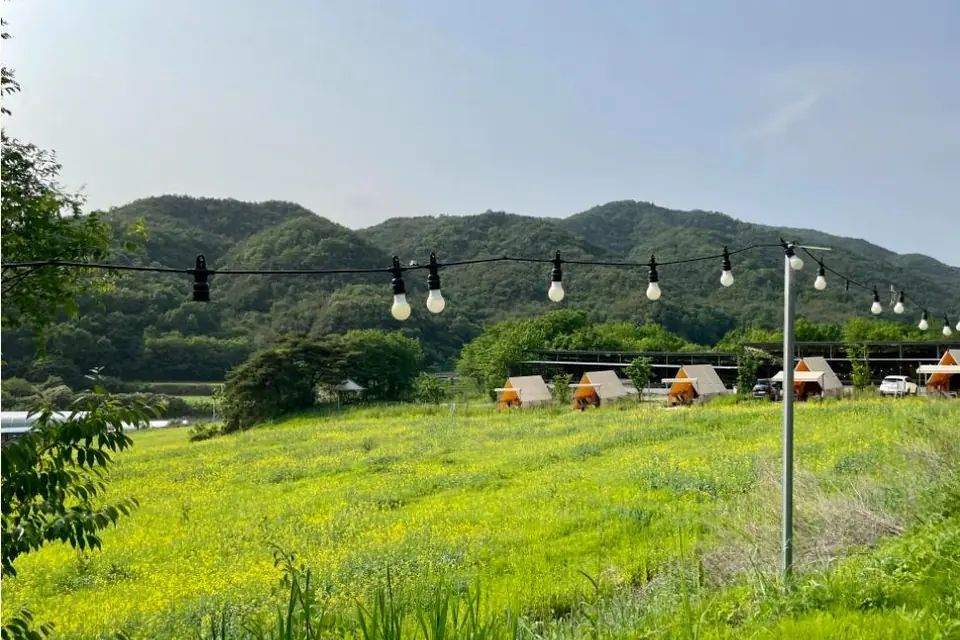 星州郡で見る성주 하늘목장の実写